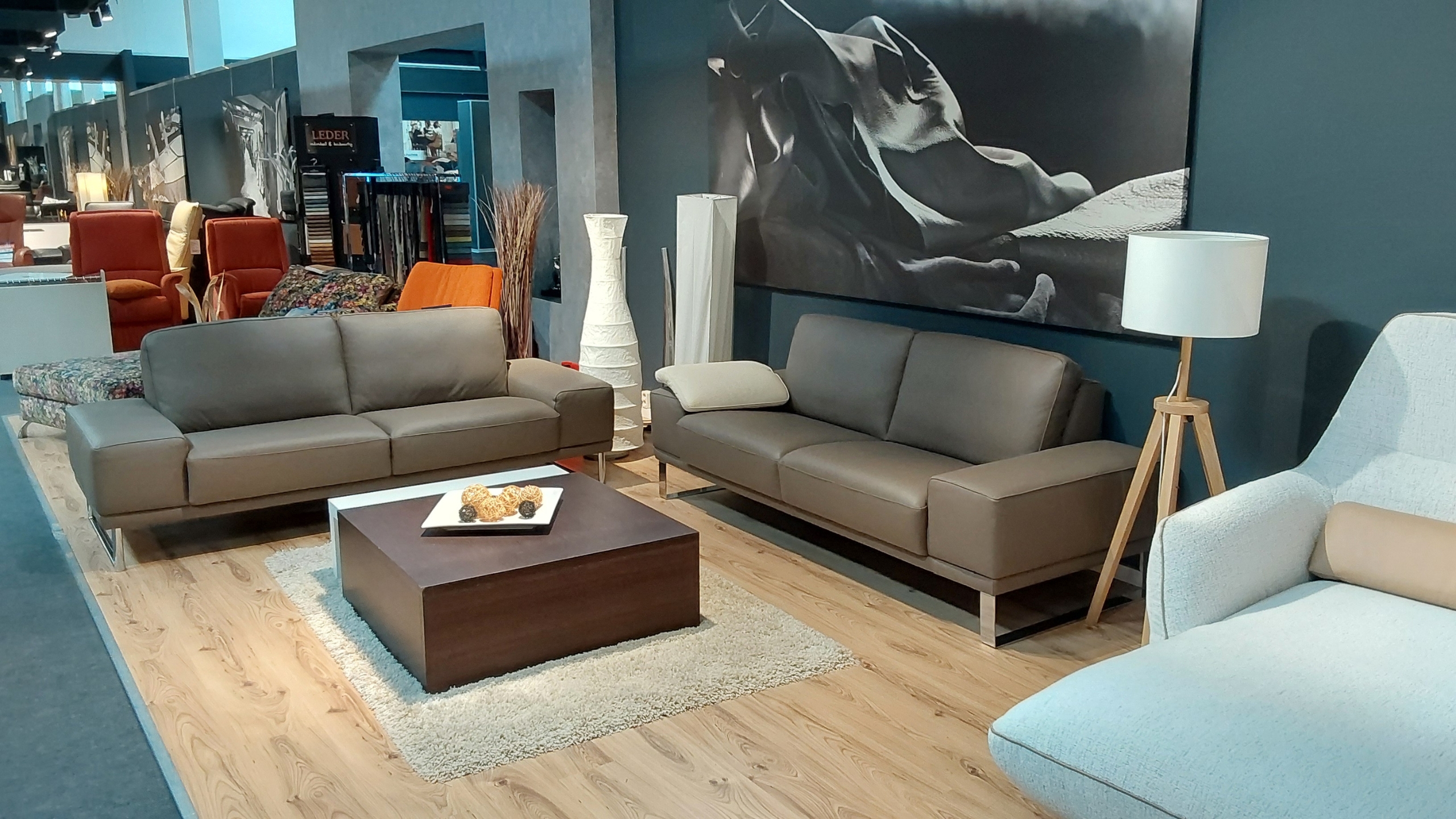 Hochwertige Ledersofas in der Ausstellung von Sedea